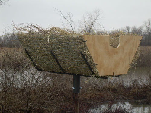 Canada goose nesting structure