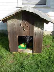 rustic cabin dog house