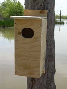 wood duck nesting box