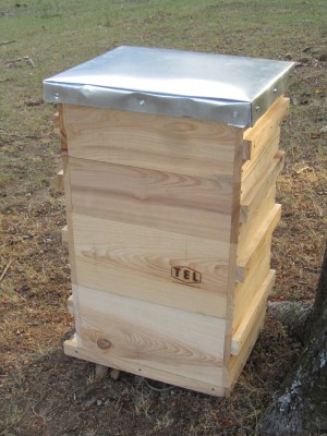 Langstroth style beehive