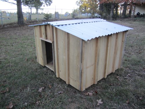 dog house
